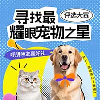 寻找最耀眼的宠物之星！